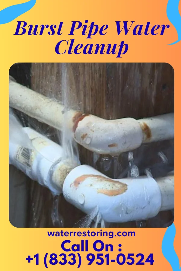 Burst Pipe Water Cleanup in Tamaha, OK